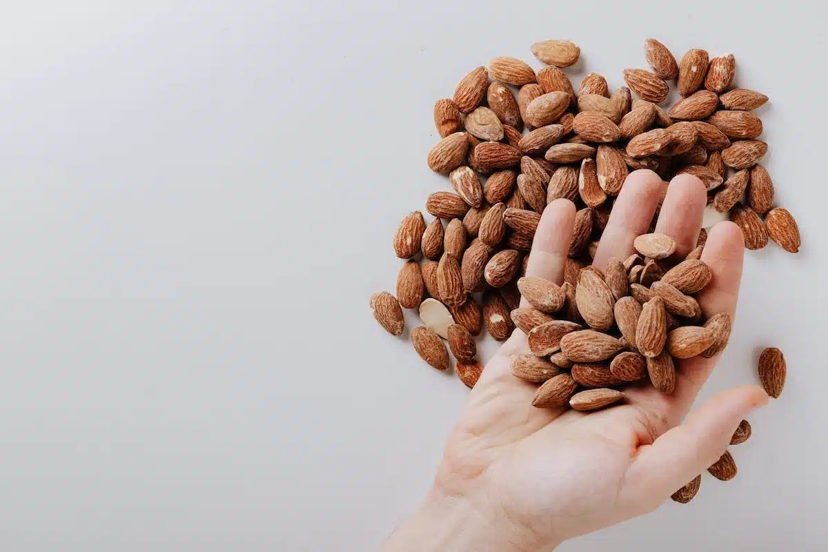 nutrition athlète
