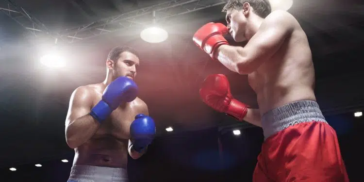 Comment choisir son équipement professionnel de boxe ?