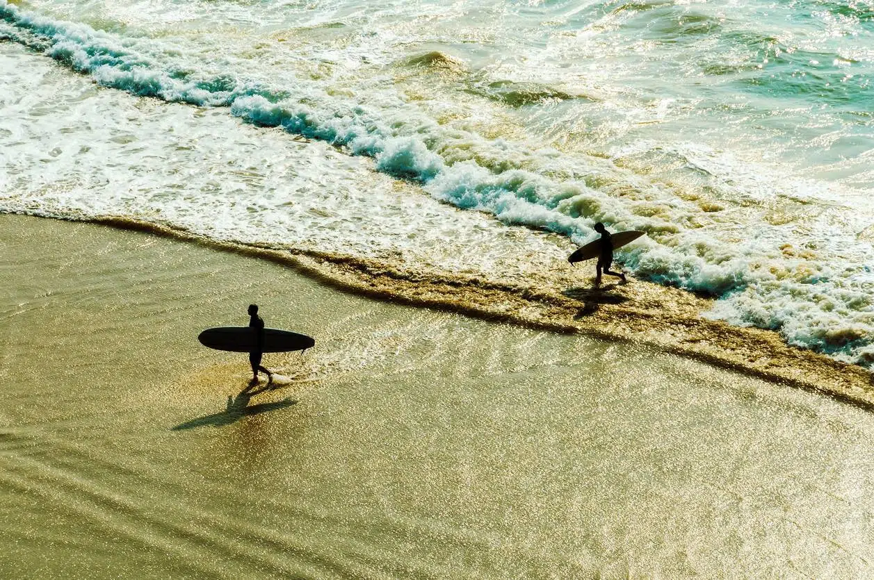 équipements surf