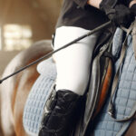 Les accessoires indispensables d'équitation pour les cavaliers : faire le bon choix