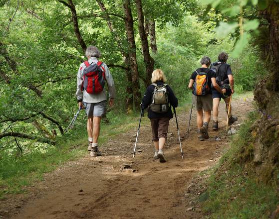 Une randonnée en forêt